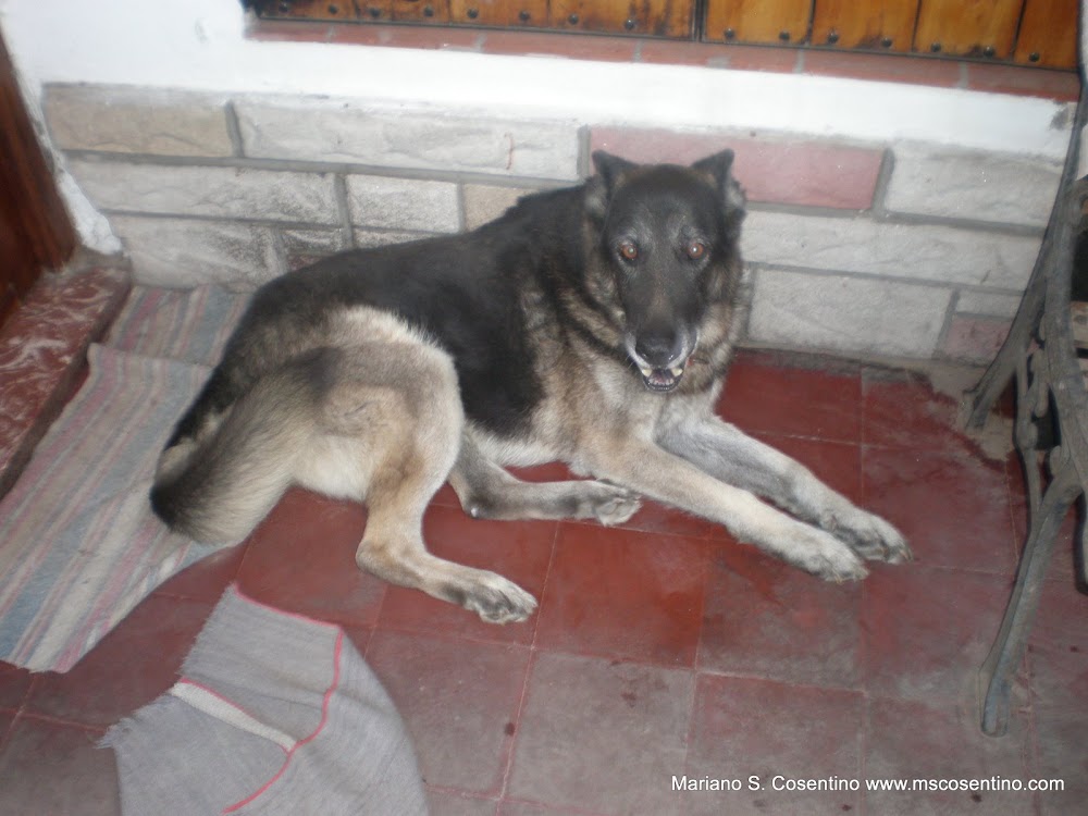 Imagen 1